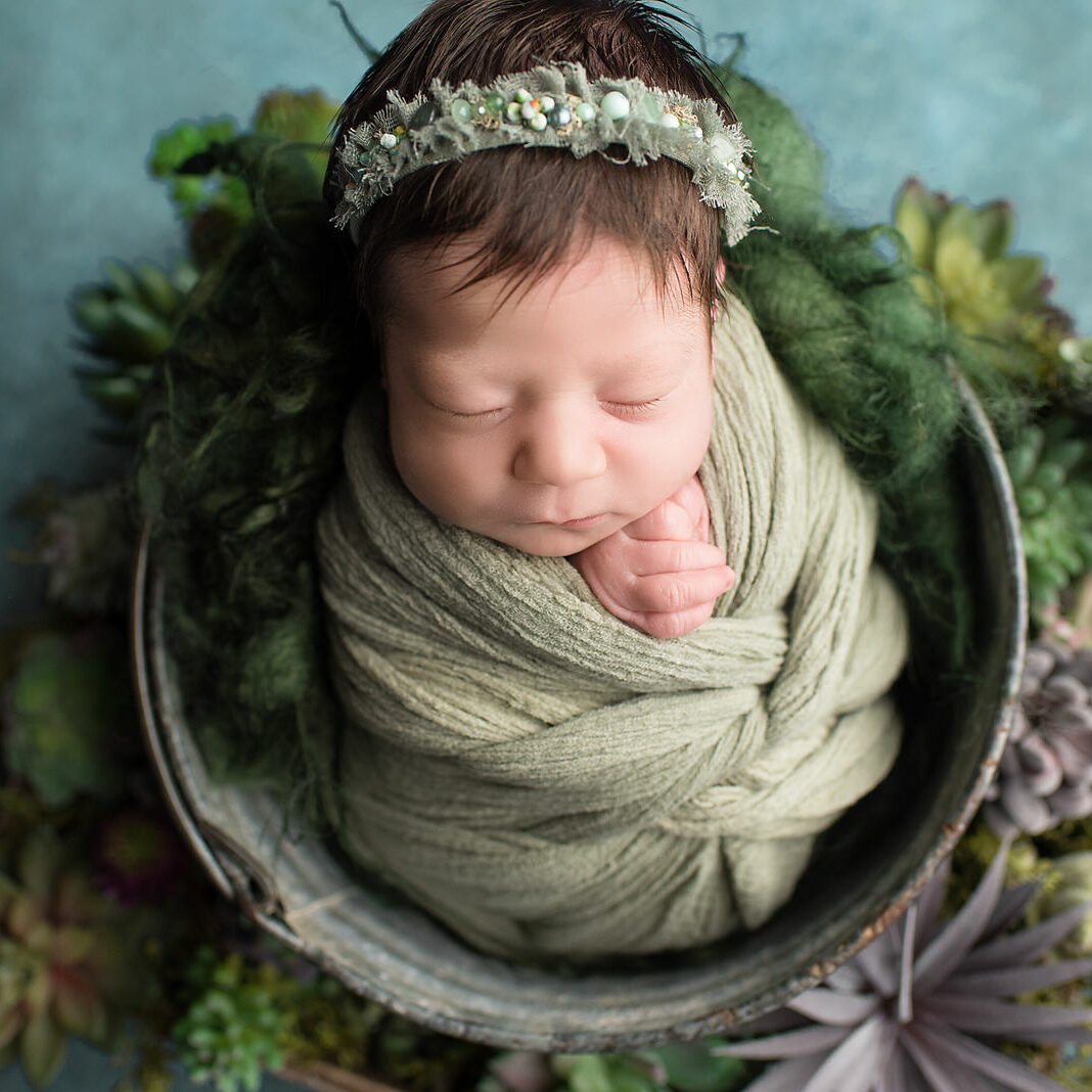 Newborn with succulents